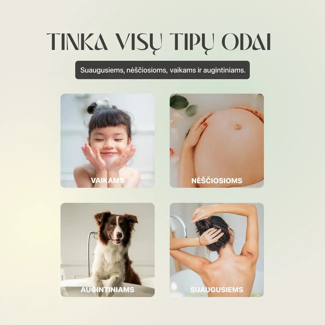 KORĖJOS SPA DUŠO FILTRAS