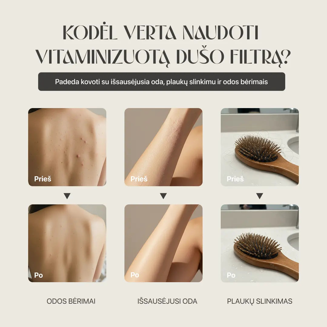 KORĖJOS SPA DUŠO FILTRAS