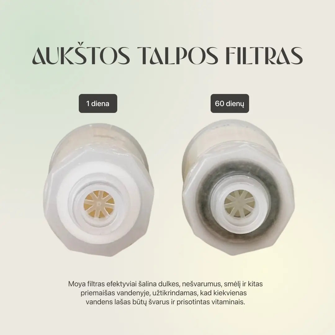 KORĖJOS SPA DUŠO FILTRAS