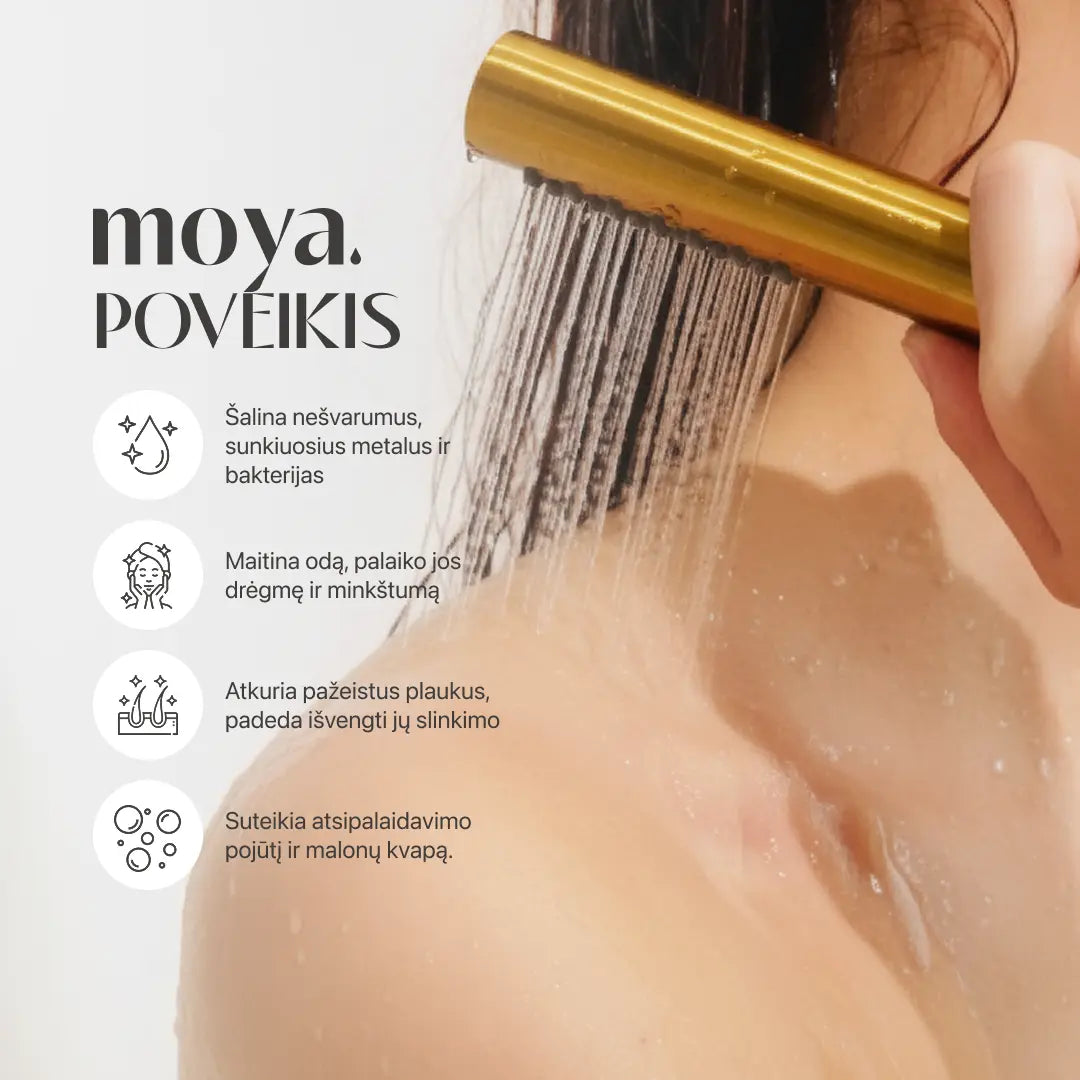 KORĖJOS SPA DUŠO FILTRAS