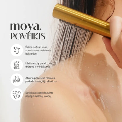 KORĖJOS SPA DUŠO FILTRAS