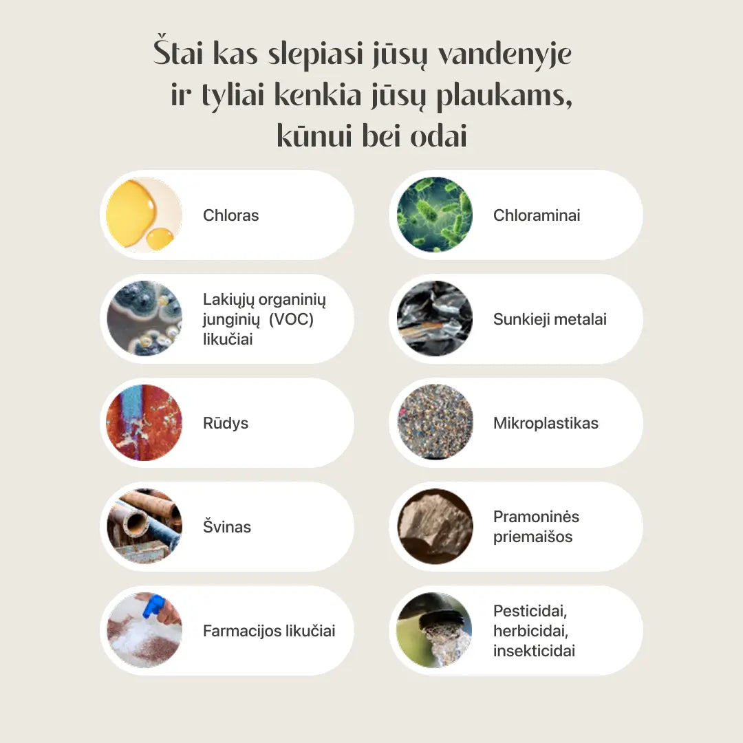 KORĖJOS SPA DUŠO FILTRAS