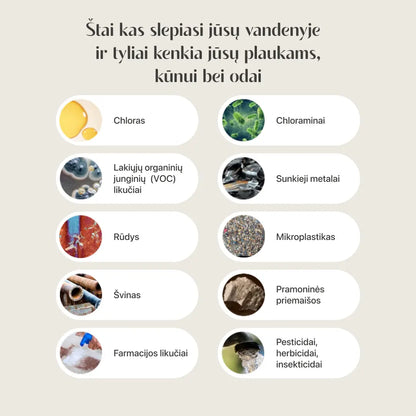 KORĖJOS SPA DUŠO FILTRAS