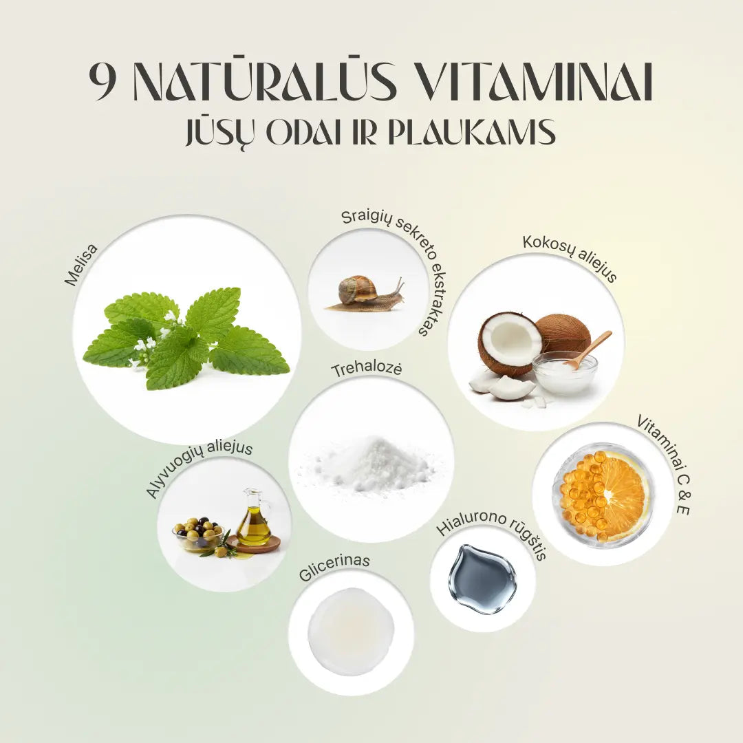 KORĖJOS SPA DUŠO FILTRAS