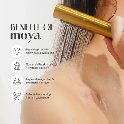 KOREAN SPA SHOWER FILTER - Moya