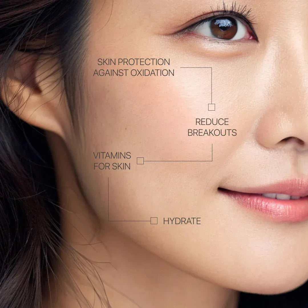 KOREAN SPA SHOWER FILTER - Moya