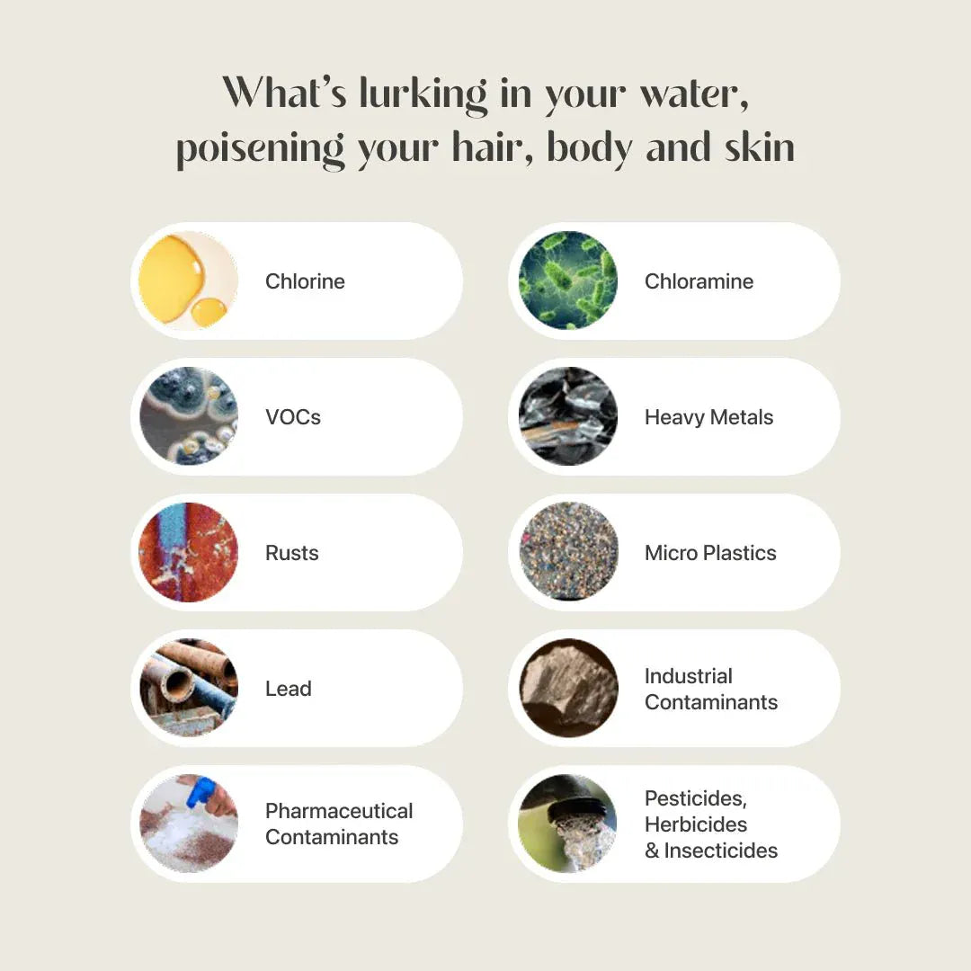 KOREAN SPA SHOWER FILTER - Moya