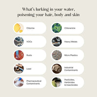 KOREAN SPA SHOWER FILTER - Moya